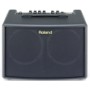 Roland AC-60 Acoustic Chorus Guitar Amplifier. A compact acoustic amp with pure natural tone.